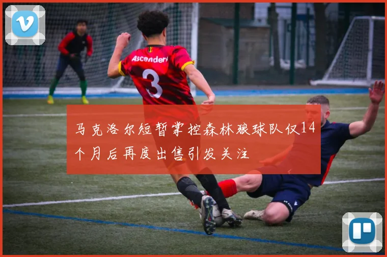 马克洛尔短暂掌控森林狼球队仅14个月后再度出售引发关注